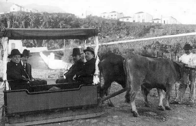 Corsa en La Alameda.